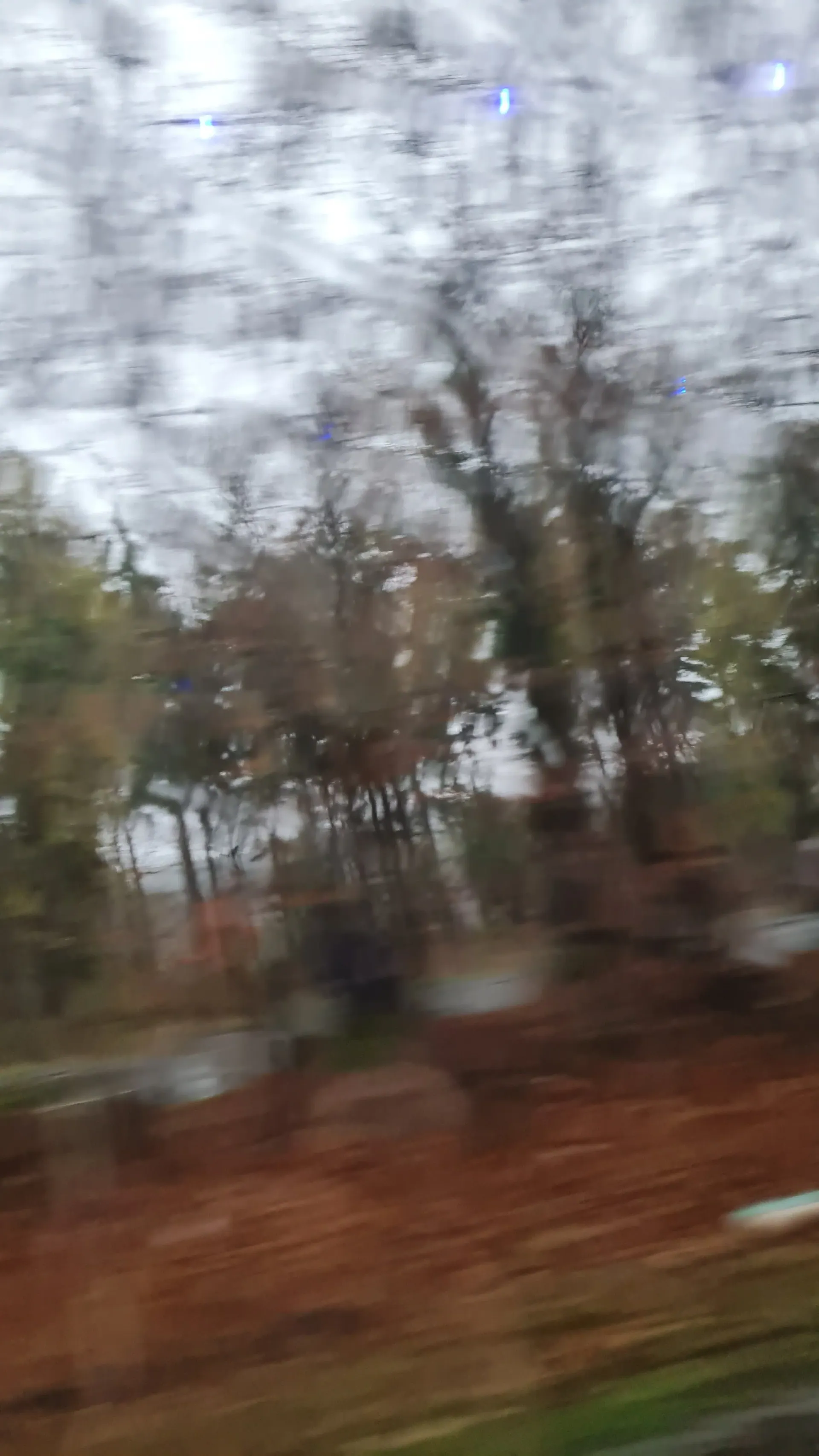 Autumn trees and rust-coloured ground blurred by the speed of travel