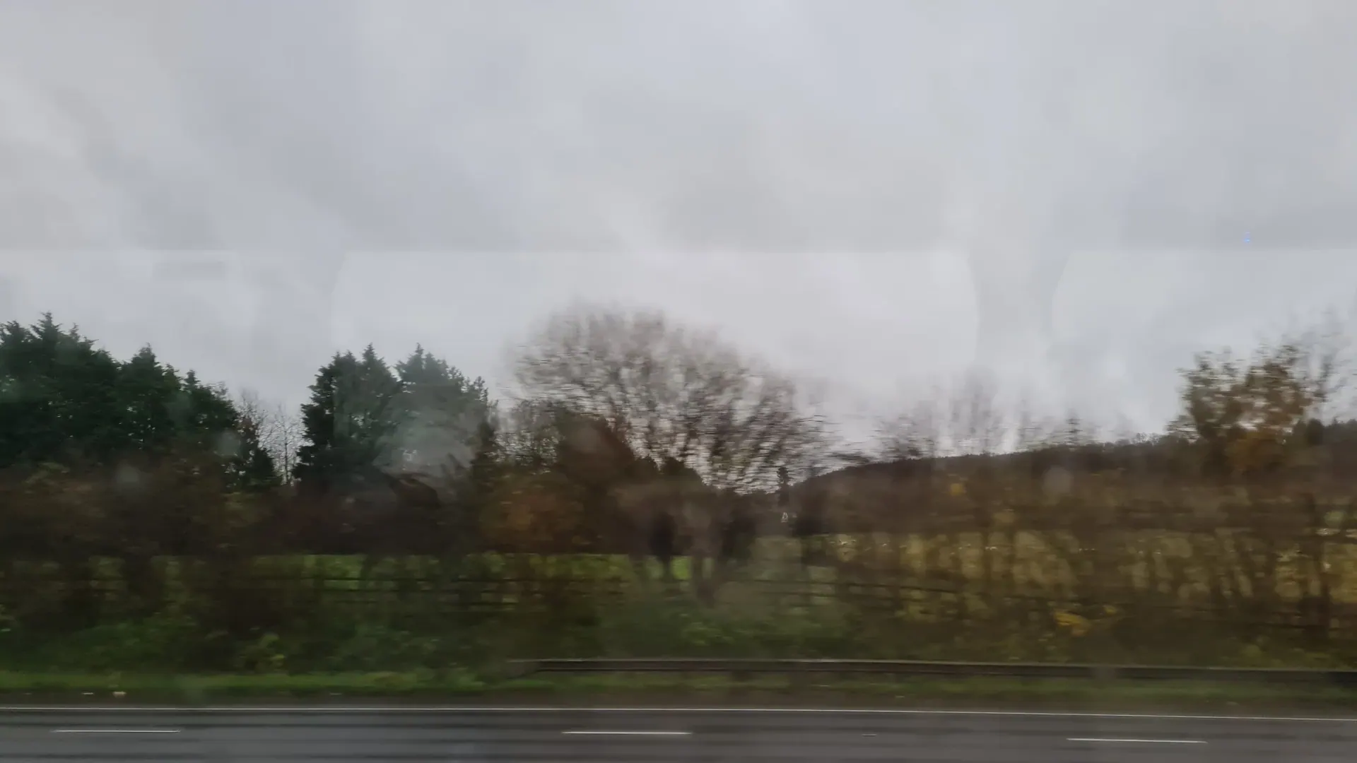 Trees and a grey sky blurred by the motion of a moving vehicle