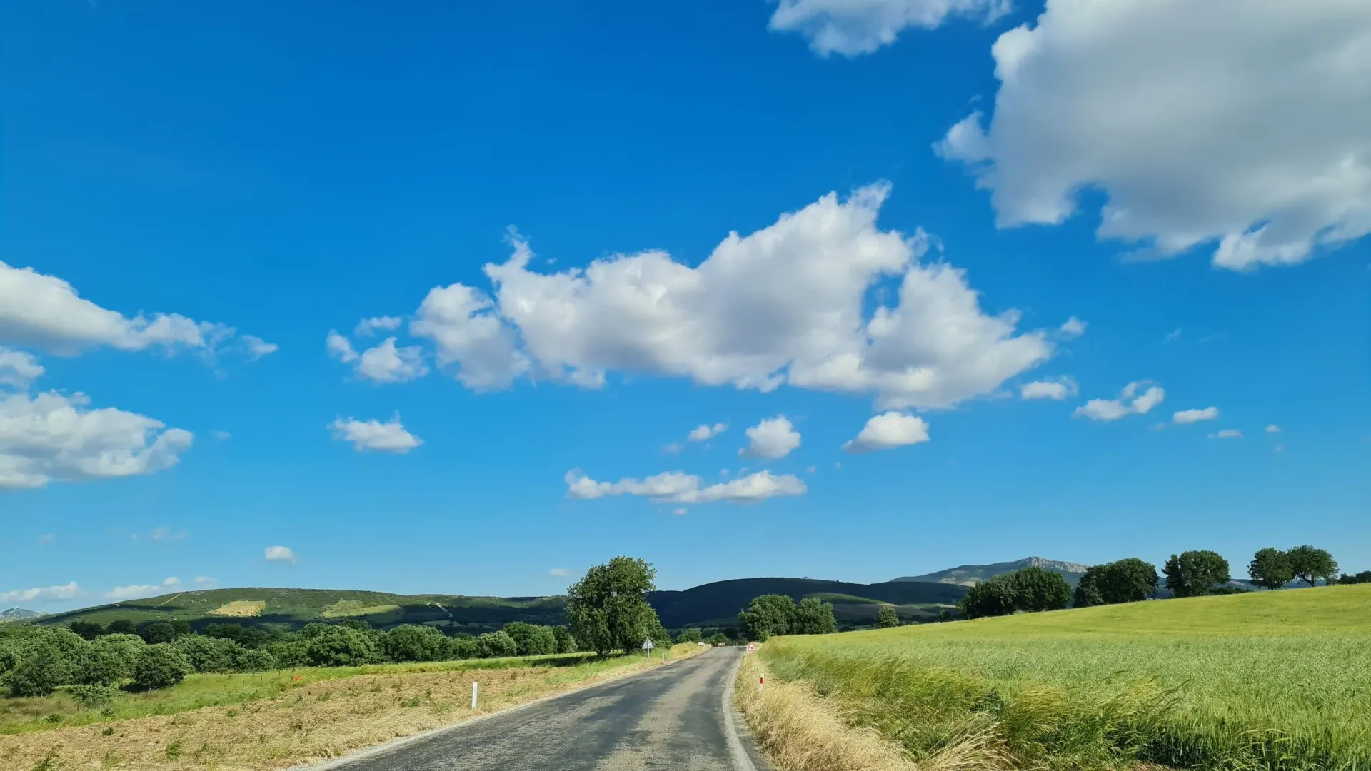 A country road through green fields under a blue sky with white clouds