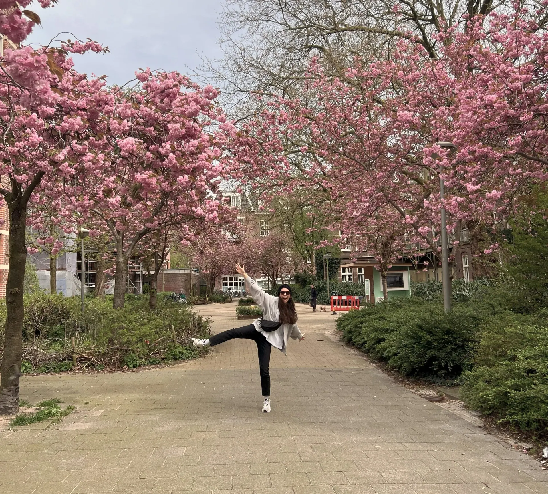Ece in a playful pose on a path lined with pink blossoming trees