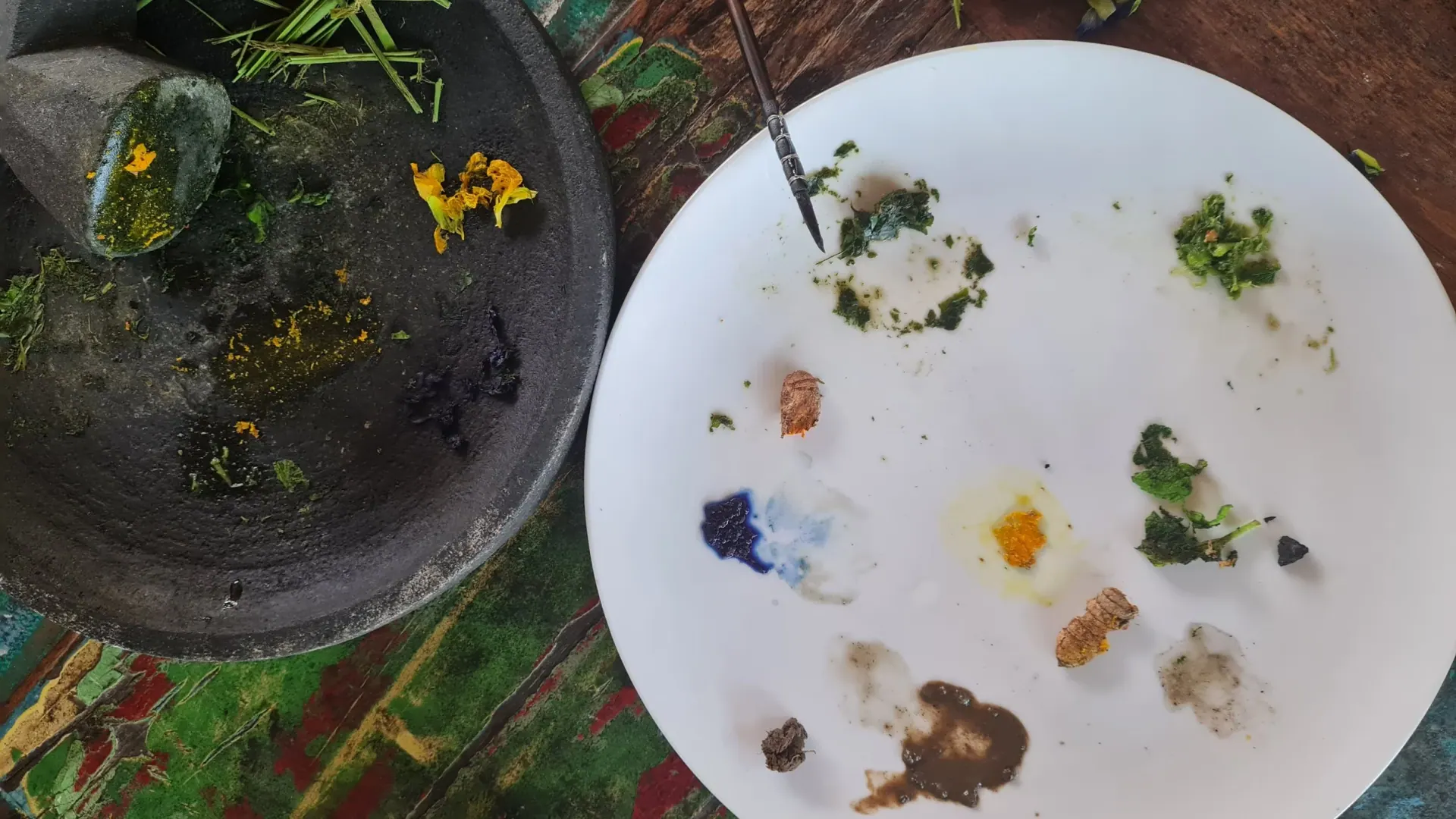 Natural pigments from flowers and herbs on a white plate beside a stone mortar