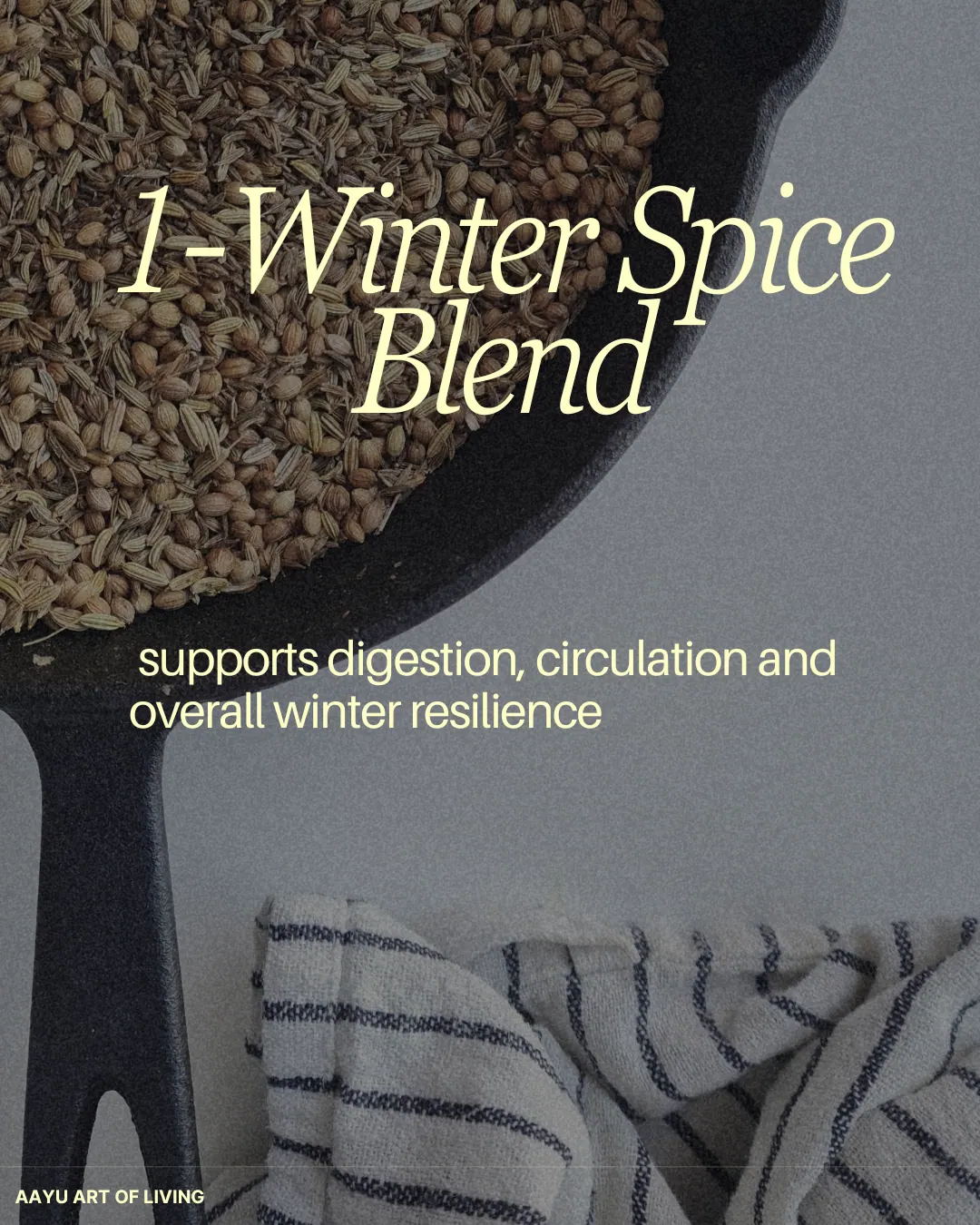 Recipe card '1 – Winter Spice Blend': supports digestion, circulation and overall winter resilience, with a pan of whole spice seeds