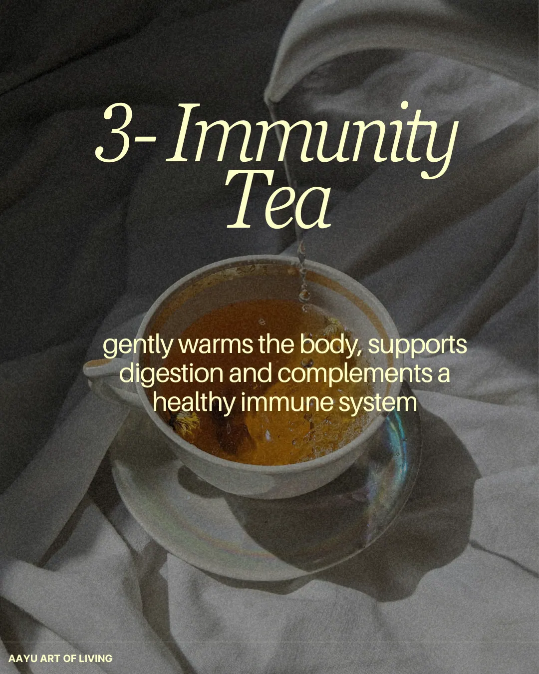 Recipe card '3 – Immunity Tea': gently warms the body and supports digestion, with a cup of tea