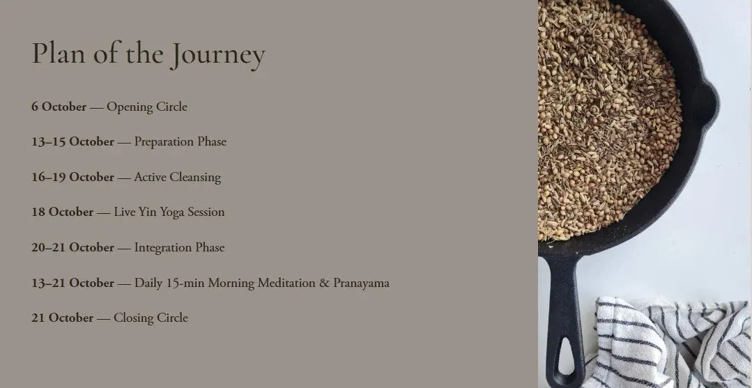 'Plan of the Journey' schedule: 6 Oct opening circle; 13–15 Oct preparation phase; 16–19 Oct active cleansing; 18 Oct live Yin Yoga; 20–21 Oct integration phase; 13–21 Oct daily 15-minute morning meditation and pranayama; 21 Oct closing circle