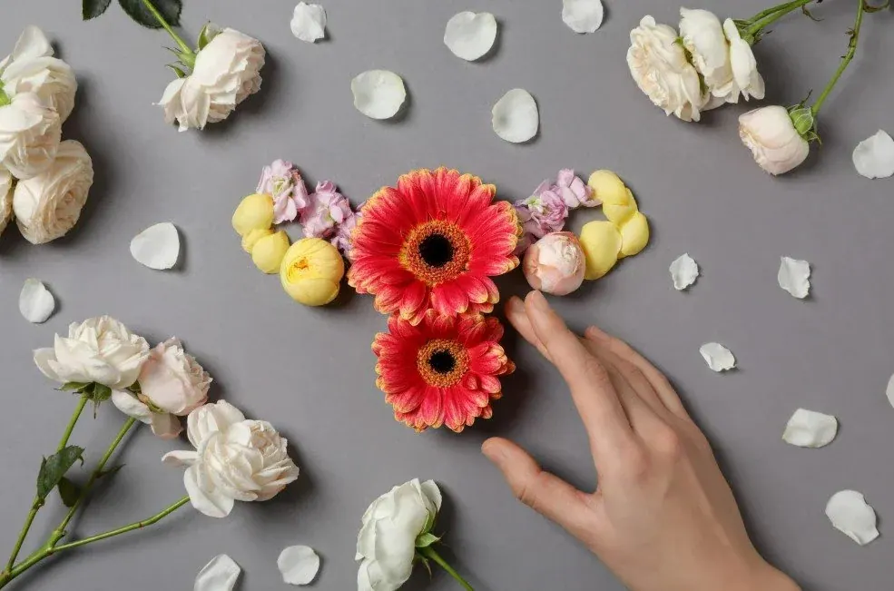 Flowers arranged in the shape of a uterus on a grey surface, red gerberas at the centre, a hand reaching in from the right